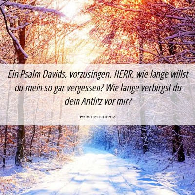 Picture 06 - Psalm 13:1 LUTH1912 - Ein Psalm Davids, vorzusingen. HERR, wie lange - Bible Verse Picture