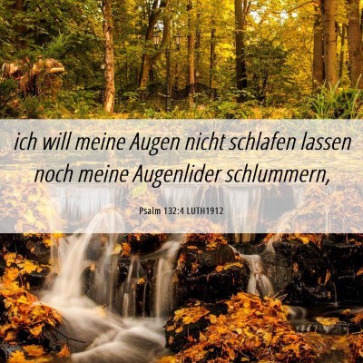 Picture 06 - Psalm 132:4 LUTH1912 - ich will meine Augen nicht schlafen lassen noch - Bible Verse Picture