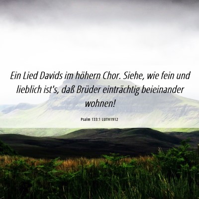 Picture 06 - Psalm 133:1 LUTH1912 - Ein Lied Davids im höhern Chor. Siehe, wie fein - Bible Verse Picture