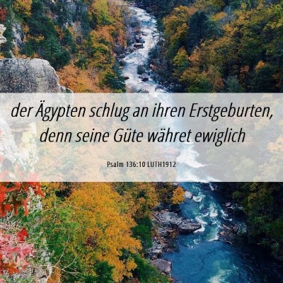 Picture 06 - Psalm 136:10 LUTH1912 - der Ägypten schlug an ihren Erstgeburten, denn - Bible Verse Picture
