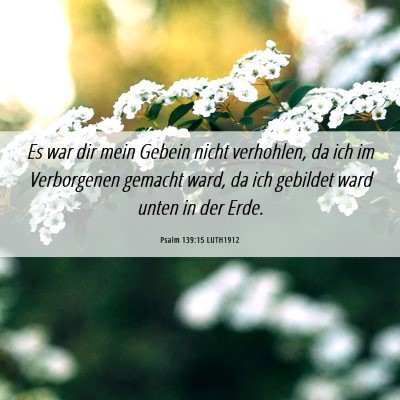 Picture 06 - Psalm 139:15 LUTH1912 - Es war dir mein Gebein nicht verhohlen, da ich im - Bible Verse Picture