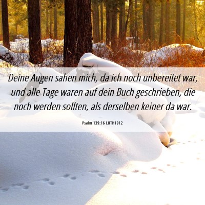 Picture 06 - Psalm 139:16 LUTH1912 - Deine Augen sahen mich, da ich noch unbereitet - Bible Verse Picture