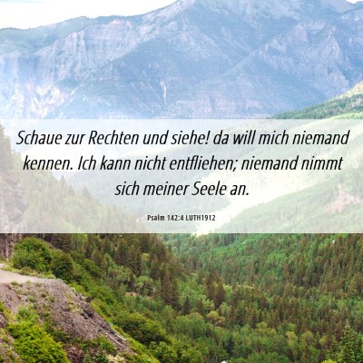 Picture 06 - Psalm 142:4 LUTH1912 - Schaue zur Rechten und siehe! da will mich - Bible Verse Picture