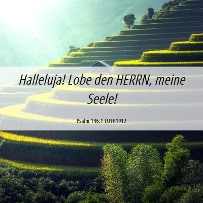 Picture 06 - Psalm 146:1 LUTH1912 - Halleluja! Lobe den HERRN, meine - Bible Verse Picture