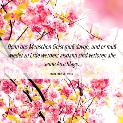 Picture 06 - Psalm 146:4 LUTH1912 - Denn des Menschen Geist muß davon, und er muß - Bible Verse Picture