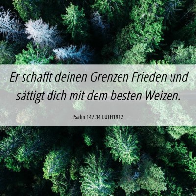 Picture 06 - Psalm 147:14 LUTH1912 - Er schafft deinen Grenzen Frieden und sättigt - Bible Verse Picture