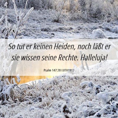 Picture 06 - Psalm 147:20 LUTH1912 - So tut er keinen Heiden, noch läßt er sie - Bible Verse Picture