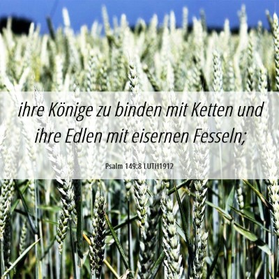 Picture 06 - Psalm 149:8 LUTH1912 - ihre Könige zu binden mit Ketten und ihre Edlen - Bible Verse Picture