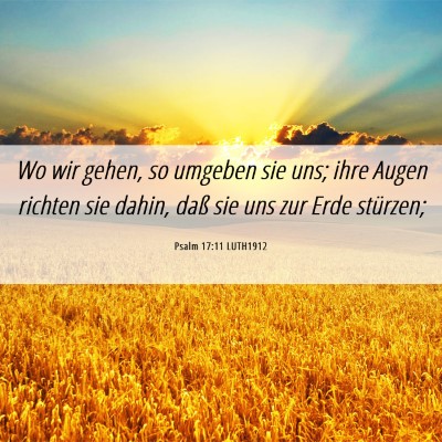 Picture 06 - Psalm 17:11 LUTH1912 - Wo wir gehen, so umgeben sie uns; ihre Augen - Bible Verse Picture