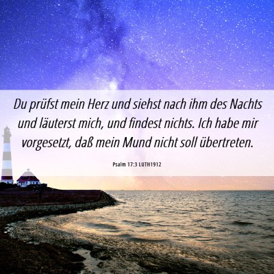 Picture 06 - Psalm 17:3 LUTH1912 - Du prüfst mein Herz und siehst nach ihm des - Bible Verse Picture