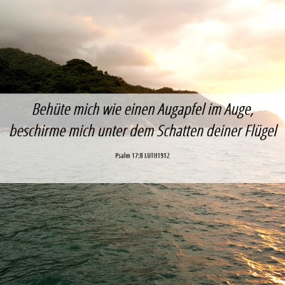 Picture 06 - Psalm 17:8 LUTH1912 - Behüte mich wie einen Augapfel im Auge, - Bible Verse Picture