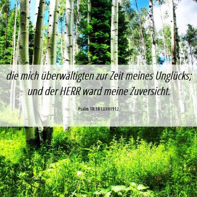 Picture 06 - Psalm 18:18 LUTH1912 - die mich überwältigten zur Zeit meines - Bible Verse Picture