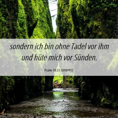 Picture 06 - Psalm 18:23 LUTH1912 - sondern ich bin ohne Tadel vor ihm und hüte mich - Bible Verse Picture