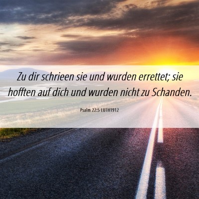 Picture 06 - Psalm 22:5 LUTH1912 - Zu dir schrieen sie und wurden errettet; sie - Bible Verse Picture