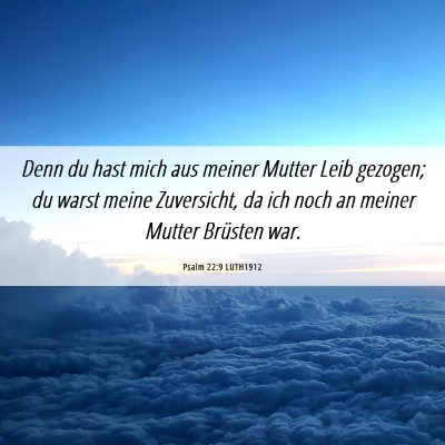 Picture 06 - Psalm 22:9 LUTH1912 - Denn du hast mich aus meiner Mutter Leib gezogen; - Bible Verse Picture