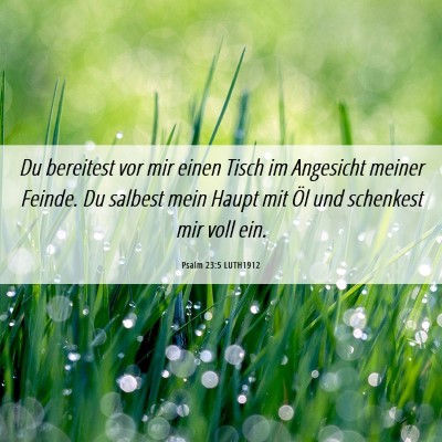 Picture 06 - Psalm 23:5 LUTH1912 - Du bereitest vor mir einen Tisch im Angesicht - Bible Verse Picture