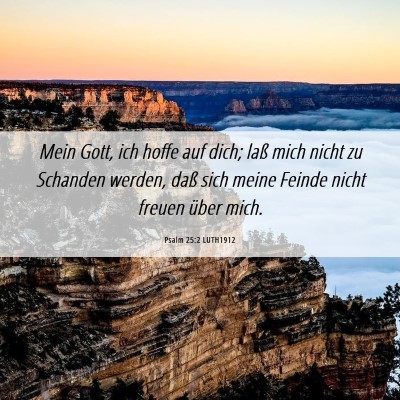 Picture 06 - Psalm 25:2 LUTH1912 - Mein Gott, ich hoffe auf dich; laß mich nicht zu - Bible Verse Picture