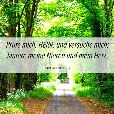 Picture 06 - Psalm 26:2 LUTH1912 - Prüfe mich, HERR, und versuche mich; läutere - Bible Verse Picture