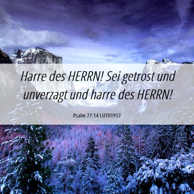 Picture 06 - Psalm 27:14 LUTH1912 - Harre des HERRN! Sei getrost und unverzagt und - Bible Verse Picture