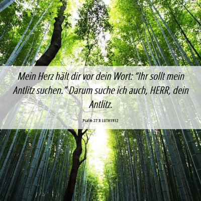 Picture 06 - Psalm 27:8 LUTH1912 - Mein Herz hält dir vor dein Wort: “Ihr sollt - Bible Verse Picture