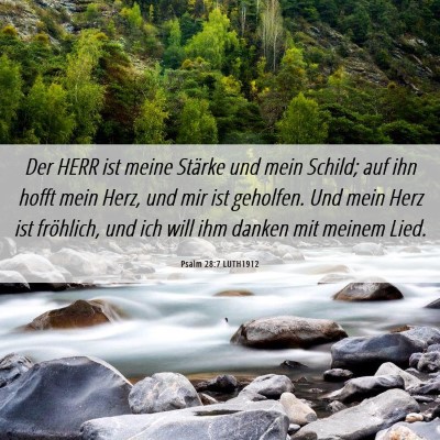 Picture 06 - Psalm 28:7 LUTH1912 - Der HERR ist meine Stärke und mein Schild; auf - Bible Verse Picture