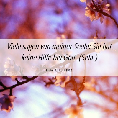 Picture 06 - Psalm 3:2 LUTH1912 - Viele sagen von meiner Seele: Sie hat keine Hilfe - Bible Verse Picture