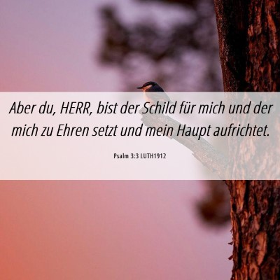 Picture 06 - Psalm 3:3 LUTH1912 - Aber du, HERR, bist der Schild für mich und der - Bible Verse Picture