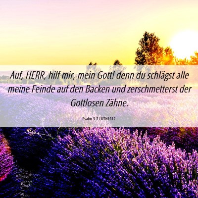 Picture 06 - Psalm 3:7 LUTH1912 - Auf, HERR, hilf mir, mein Gott! denn du schlägst - Bible Verse Picture