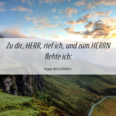 Picture 06 - Psalm 30:8 LUTH1912 - Zu dir, HERR, rief ich, und zum HERRN flehte - Bible Verse Picture