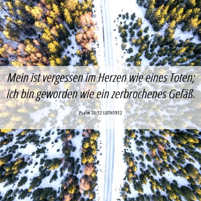 Picture 06 - Psalm 31:12 LUTH1912 - Mein ist vergessen im Herzen wie eines Toten; ich - Bible Verse Picture