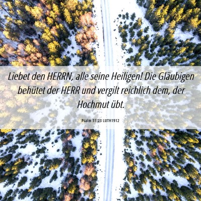 Picture 06 - Psalm 31:23 LUTH1912 - Liebet den HERRN, alle seine Heiligen! Die - Bible Verse Picture