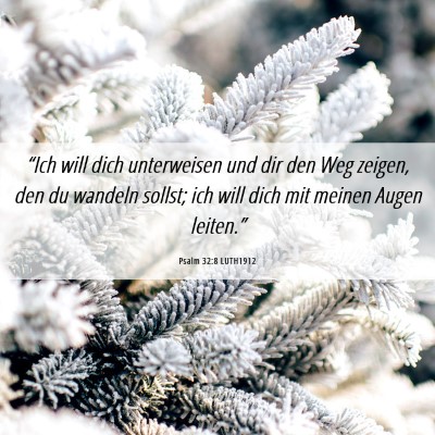 Picture 06 - Psalm 32:8 LUTH1912 - “Ich will dich unterweisen und dir den Weg - Bible Verse Picture