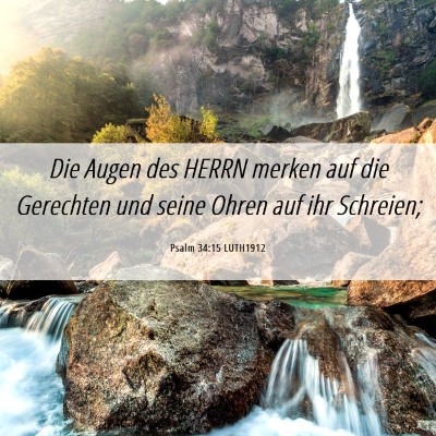 Picture 06 - Psalm 34:15 LUTH1912 - Die Augen des HERRN merken auf die Gerechten und - Bible Verse Picture