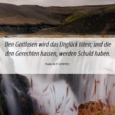 Picture 06 - Psalm 34:21 LUTH1912 - Den Gottlosen wird das Unglück töten; und die - Bible Verse Picture
