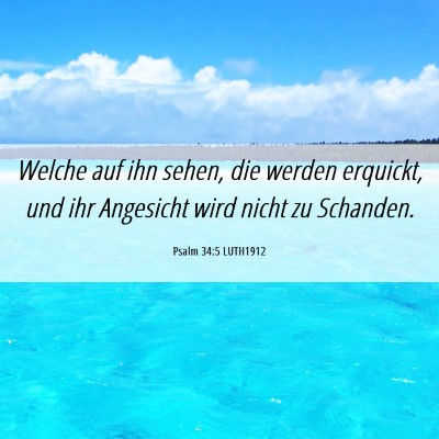 Picture 06 - Psalm 34:5 LUTH1912 - Welche auf ihn sehen, die werden erquickt, und - Bible Verse Picture