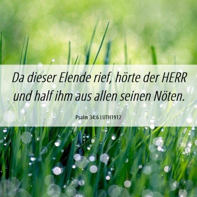Picture 06 - Psalm 34:6 LUTH1912 - Da dieser Elende rief, hörte der HERR und half - Bible Verse Picture