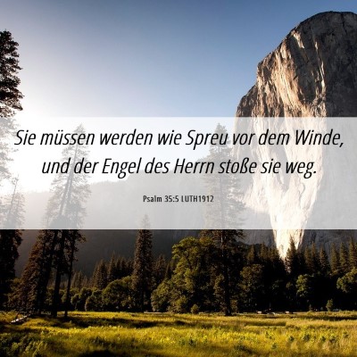 Picture 06 - Psalm 35:5 LUTH1912 - Sie müssen werden wie Spreu vor dem Winde, und - Bible Verse Picture
