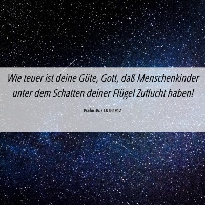 Picture 06 - Psalm 36:7 LUTH1912 - Wie teuer ist deine Güte, Gott, daß - Bible Verse Picture