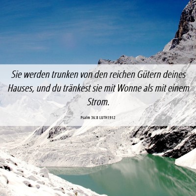Picture 06 - Psalm 36:8 LUTH1912 - Sie werden trunken von den reichen Gütern deines - Bible Verse Picture