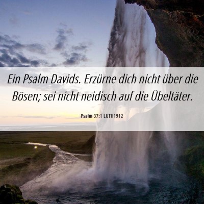 Picture 06 - Psalm 37:1 LUTH1912 - Ein Psalm Davids. Erzürne dich nicht über die - Bible Verse Picture