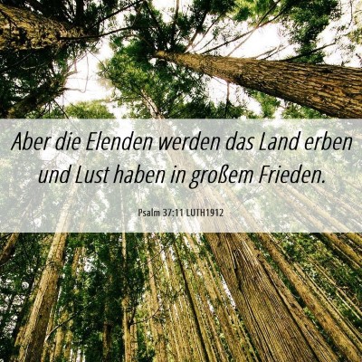 Picture 06 - Psalm 37:11 LUTH1912 - Aber die Elenden werden das Land erben und Lust - Bible Verse Picture