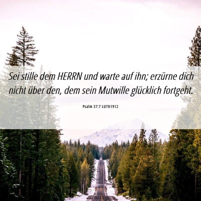 Picture 06 - Psalm 37:7 LUTH1912 - Sei stille dem HERRN und warte auf ihn; erzürne - Bible Verse Picture