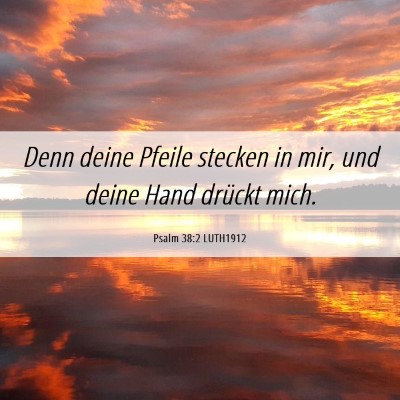 Picture 06 - Psalm 38:2 LUTH1912 - Denn deine Pfeile stecken in mir, und deine Hand - Bible Verse Picture
