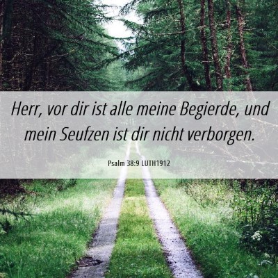 Picture 06 - Psalm 38:9 LUTH1912 - Herr, vor dir ist alle meine Begierde, und mein - Bible Verse Picture