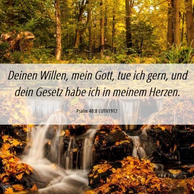 Picture 06 - Psalm 40:8 LUTH1912 - Deinen Willen, mein Gott, tue ich gern, und dein - Bible Verse Picture