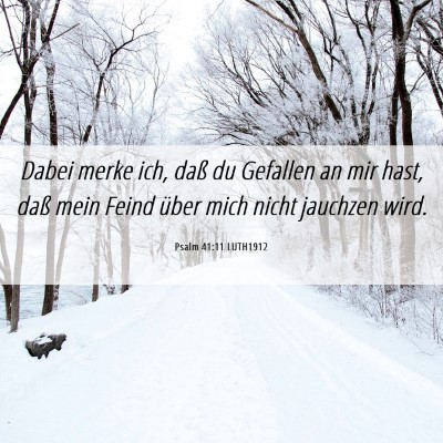 Picture 06 - Psalm 41:11 LUTH1912 - Dabei merke ich, daß du Gefallen an mir hast, - Bible Verse Picture