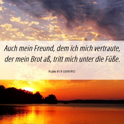 Picture 06 - Psalm 41:9 LUTH1912 - Auch mein Freund, dem ich mich vertraute, der - Bible Verse Picture