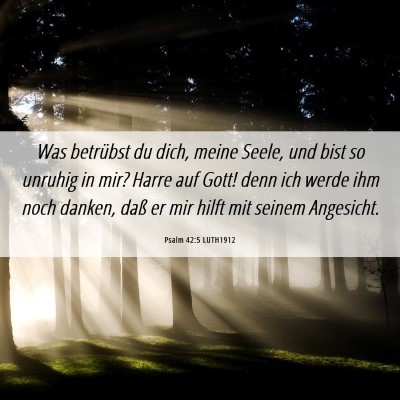 Picture 06 - Psalm 42:5 LUTH1912 - Was betrübst du dich, meine Seele, und bist so - Bible Verse Picture