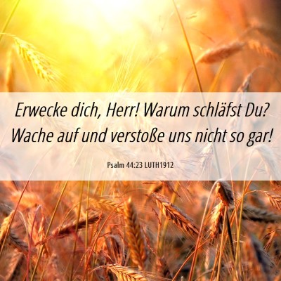 Picture 06 - Psalm 44:23 LUTH1912 - Erwecke dich, Herr! Warum schläfst Du? Wache auf - Bible Verse Picture