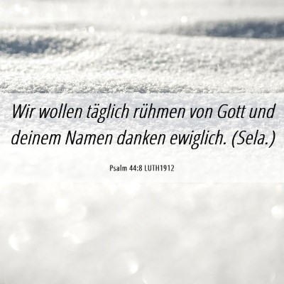 Picture 06 - Psalm 44:8 LUTH1912 - Wir wollen täglich rühmen von Gott und deinem - Bible Verse Picture
